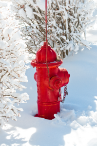 Fire hydrant in the snow with a flag